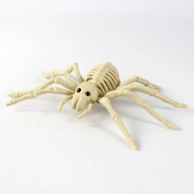 Skull-Spider