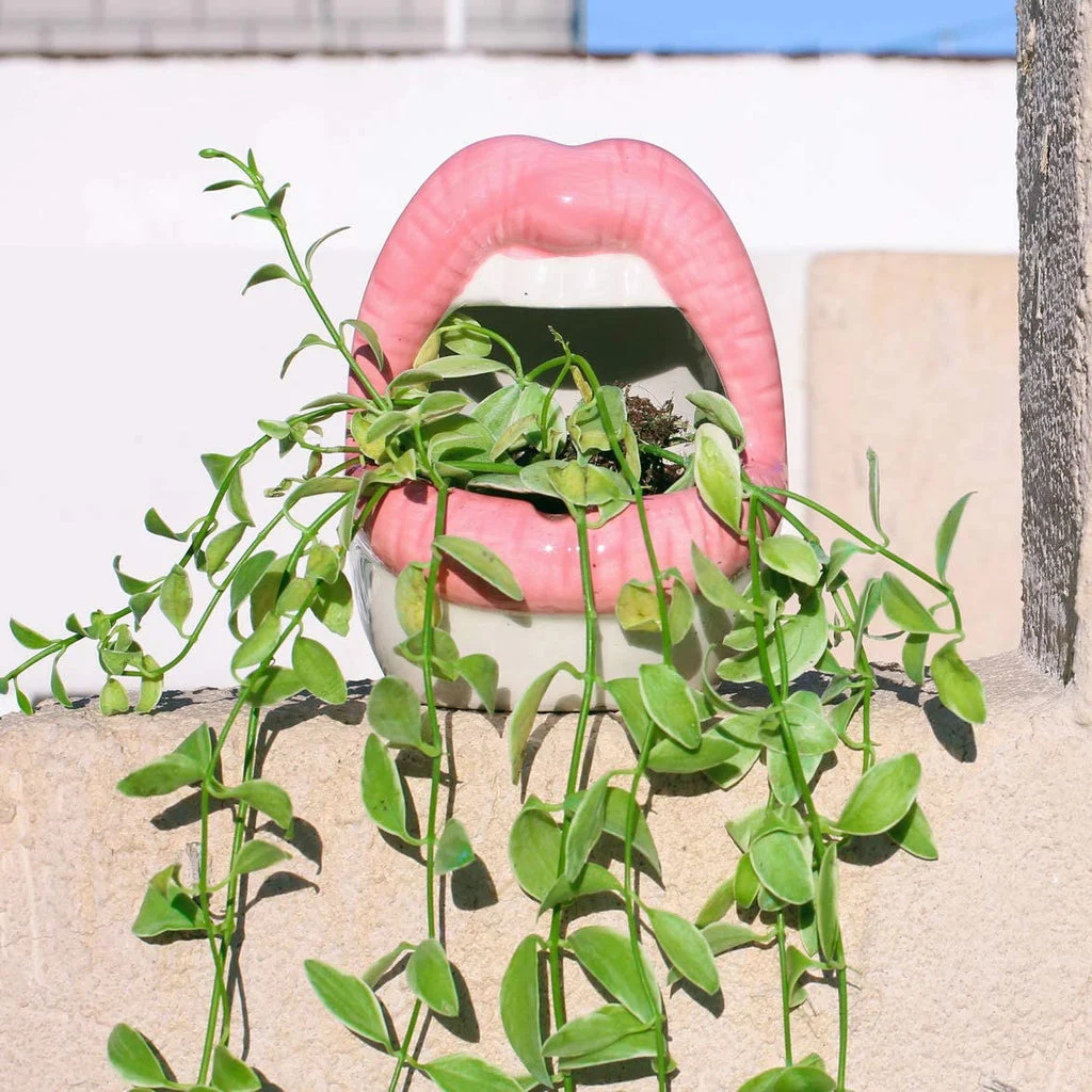 lips ceramic pots