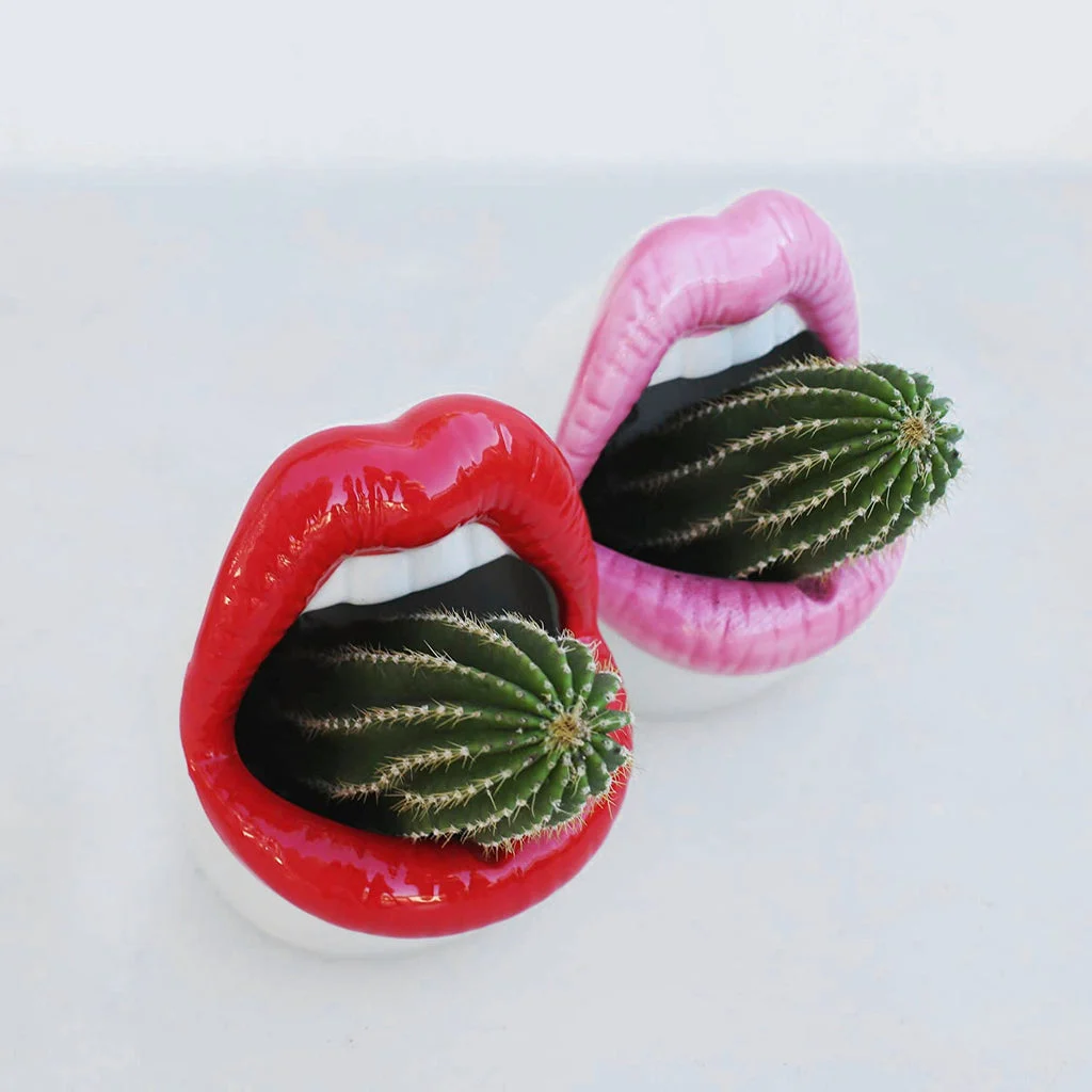 lips ceramic pots