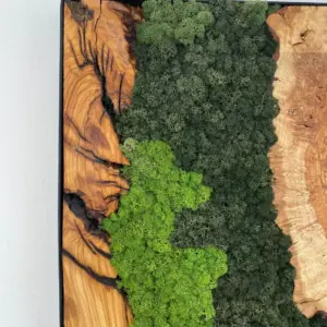 Custom Made Moss And Olive Wood Wall Art, Olive Wood And Moss Wall Art (2)