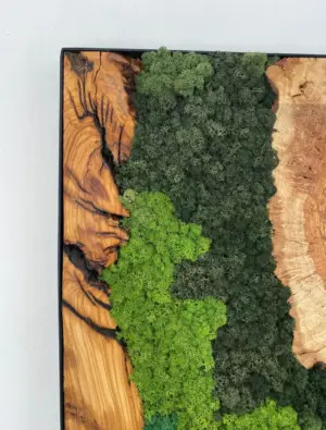 Custom Made Moss and Olive Wood Wall Art, Olive Wood and Moss Wall Art