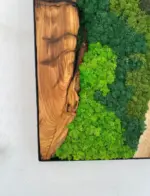 Custom Made Moss and Olive Wood Wall Art, Olive Wood and Moss Wall Art (3) Custom Made Moss and Olive Wood Wall Art, Olive Wood and Moss Wall Art (3)