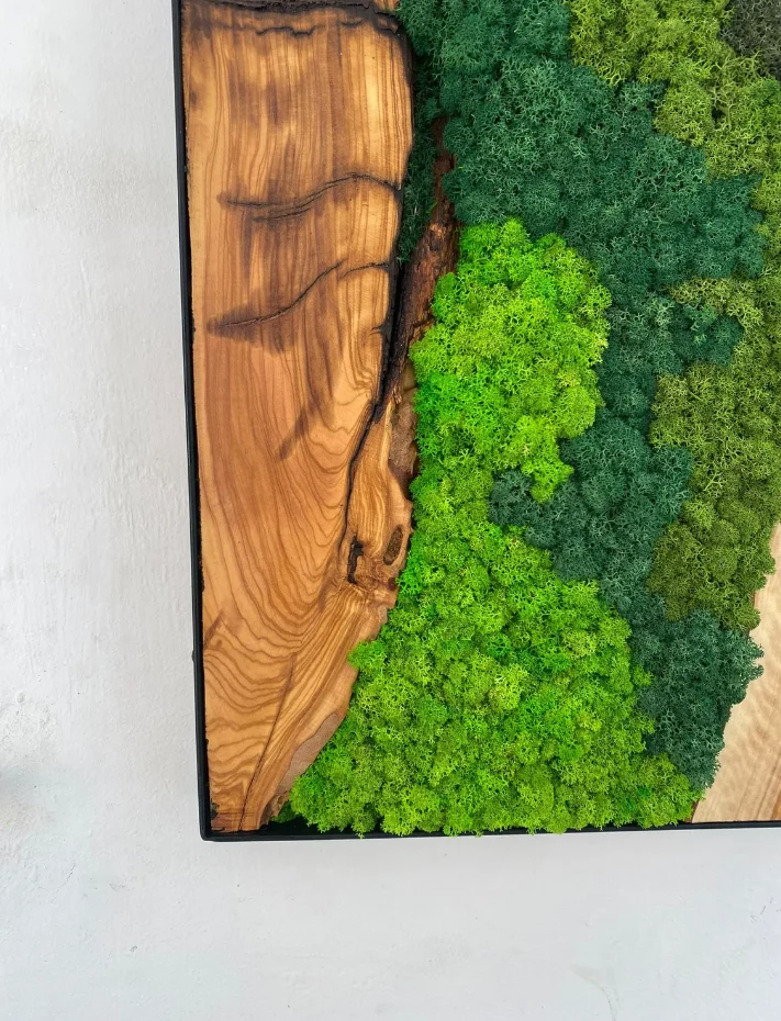 Custom Made Moss And Olive Wood Wall Art, Olive Wood And Moss Wall Art (3)