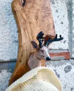 Olive Wall Decor,Wall Art, Deer Coat Rack (3)
