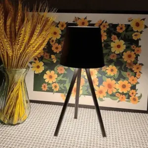 Modern - Table lamp on tripod
