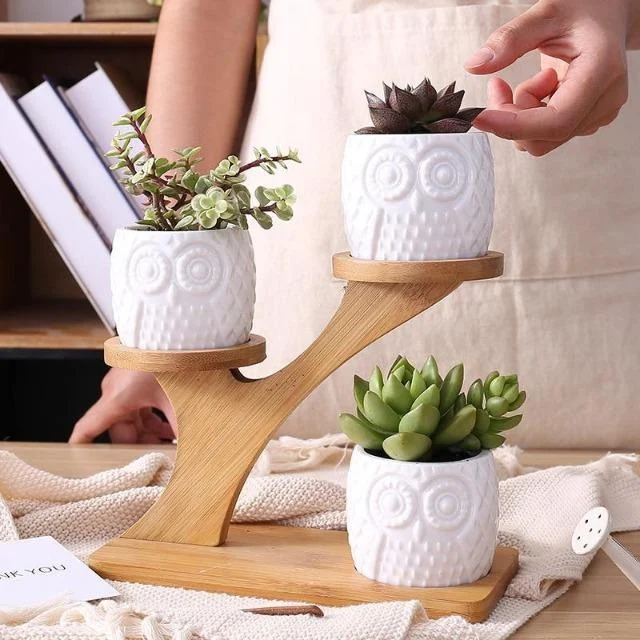 1 Set Ceramic Owl Garden Pots Modern Pumpkin Flowerpot Nursery Succulent Plant Pot 3 Bonsai Planters 16491559 80f3 41db 9b6f 21ae3e061061