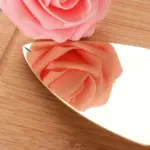 11 81 Big Cake Shovel Spatula Server Knife Stainless Steel For Pie Pizza Cheese Pastry Server a6c0681c bc7b 43a9 b9b2 0011942f8261