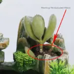 110-240V-Creative-Home-Decoration-Resin-Rockery-Waterscape-Feng-Shui-Water-Fountain-Air-Spray-Green-Plant_34320b66-424e-472c-9b10-92952c6b7bca 110 240V Creative Home Decoration Resin Rockery Waterscape Feng Shui Water Fountain Air Spray Green Plant 34320b66 424e 472c 9b10 92952c6b7bca