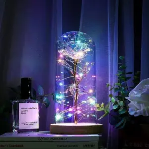 The Enchanted Rose