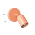 12cm 12cm