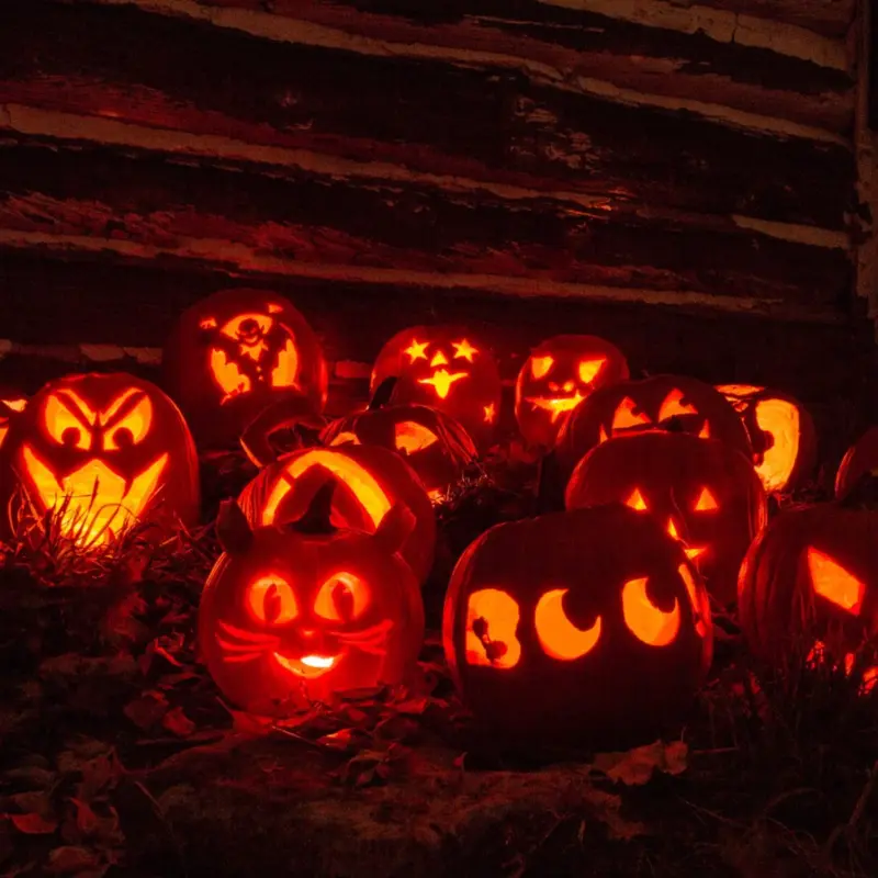 13 Pieces Halloween Pumpkin Stainless Steel Carving Kit tag1