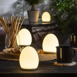 LED night lamp with touch function