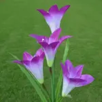 1658744976 solarlilyflowerlightspurple