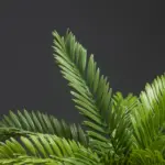 18_Leaves_Artificial_Sago_Cycas_-_-4115862 18 Leaves Artificial Sago Cycas