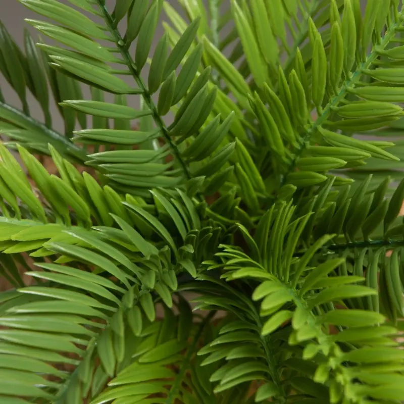 18 Leaves Artificial Sago Cycas