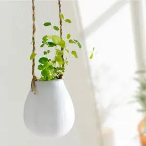 Mini Hanging Planter