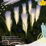 1PCS solar reed lamp waterproof rain proof wind proof perfect decorations for outdoor garden lawn Halloween.jpg bb13f7b6 469a 4d9d 8f15 9f266655ad93