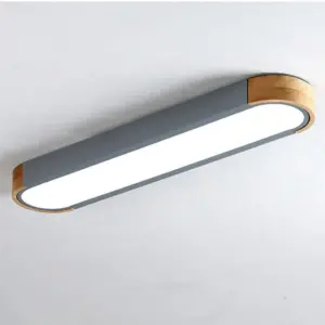 Homeko Minimalist Hall Way Ceiling Lights Fixture
