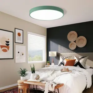 Homeko Modern Round Flush Ceiling Lights