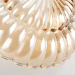 1_e5c18564-e86c-4cb1-9173-db090f83eddf 1 e5c18564 e86c 4cb1 9173 db090f83eddf