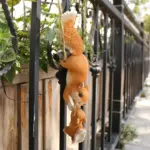 1pc-Creative-Climbing-Rope-Squirrel-Figurine-Perfect-forGarden-Outdoor-Decoration.jpg_fb8ae741-b428-4385-8b4f-1c872c9ae238 1pc Creative Climbing Rope Squirrel Figurine Perfect forGarden Outdoor Decoration.jpg fb8ae741 b428 4385 8b4f 1c872c9ae238