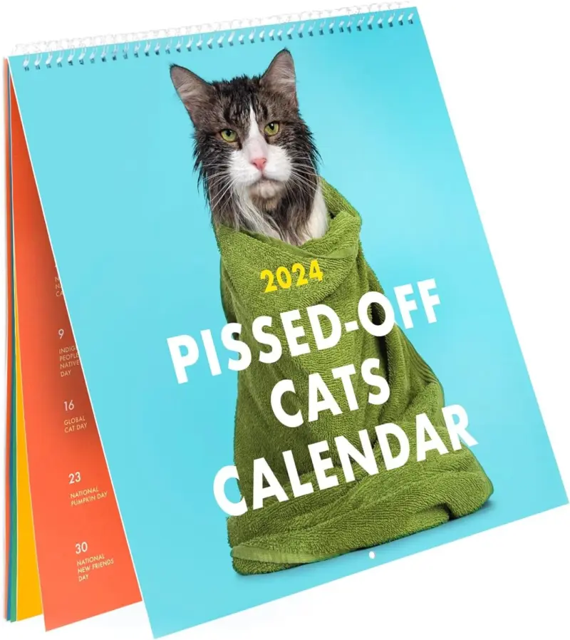2024 Pissed Off Cats Wall Calendar tag1