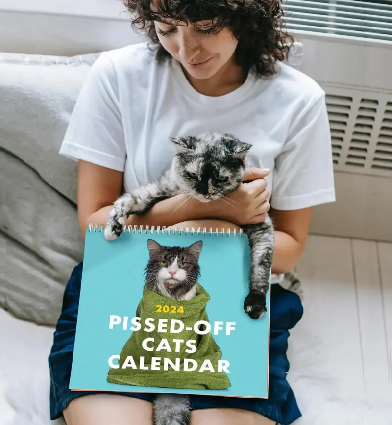 2024 Pissed Off Cats Wall Calendar tag1