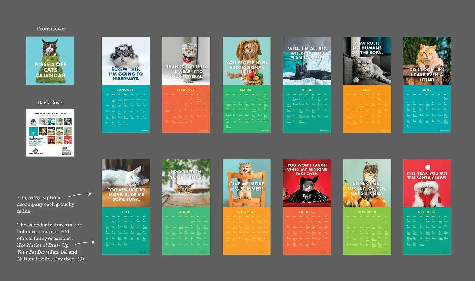 2024 Pissed-Off Cats Wall Calendar -  - #tag1#