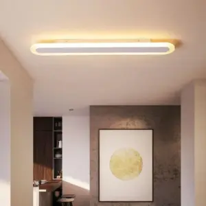 Zenith Minimalist Ultra Thin Ceiling Lamp