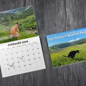 📅2024 Funniest Calendar-Dogs Pooping in Beautiful Places | "Artistic Expression" of Furry Friends