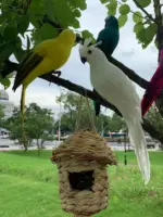 25 35cm Simulation Parrot Garden Decoration Creative Lawn Figurine Ornament Animal Bird Outdoor Garden Party Prop