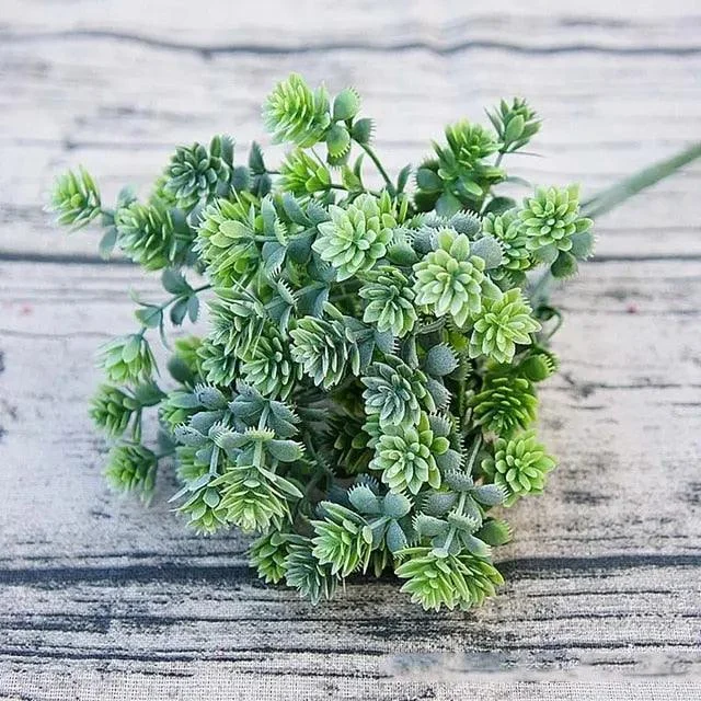 28 Heads Succulents -