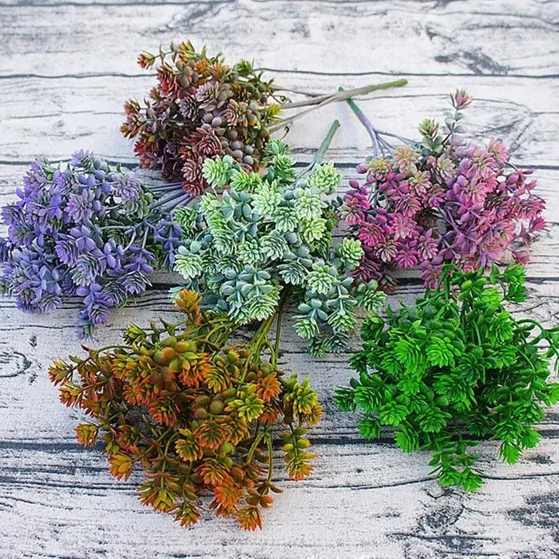 28 Heads Succulents -