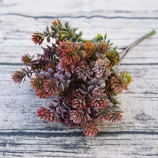 28 Heads Succulents -