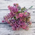 28 Heads Succulents