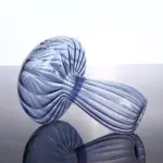 2 02347fb7 4a2d 4ae2 b658 c437ca48870b