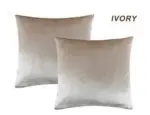 2_Pack_Glowing_Velvet_Cushion_Covers_-_-_tag1_-4116831 2 Pack Glowing Velvet Cushion Covers tag1