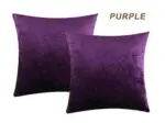 2_Pack_Glowing_Velvet_Cushion_Covers_-_-_tag1_-4116842 2 Pack Glowing Velvet Cushion Covers tag1