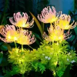 2_Packs_-_Solar_Glowing_Outdoor_Flowers_-_-_tag1_-4116859 2 Packs Solar Glowing Outdoor Flowers tag1