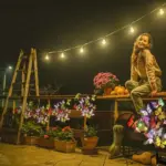 2_Packs_Solar_Outdoor_Butterfly_Lights_-_-_tag1_-4116894 2 Packs Solar Outdoor Butterfly Lights tag1