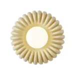 2_ff957304-aa8d-4bcf-a7f6-23f75585b408 2 ff957304 aa8d 4bcf a7f6 23f75585b408