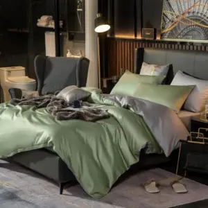 Homeko Light Green Silver Reversible Egyptian Cotton Bedding Set