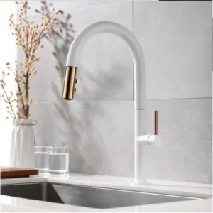 360 Degree Pull Out Luxury Kitchen Faucet