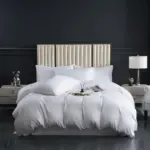 37 a1a43510 b492 451e b3cb 9371a381395e