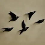 3D_Flying_Birds_Wall_Decor_-_-4116665 3D Flying Birds Wall Decor