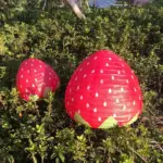 3D_Fruit_Shaped_Party_Paper_Lantern_-_-_tag1_-4121407 3D Fruit Shaped Party Paper Lantern tag1