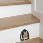 3pcs-Realistic-Mouse-Hole-Wall-Stickers-for-Corner-Stairs-Funny-Home-Decor-Pvc-Vinyl-Opaque-Wallpaper.jpg_28c41a5b-cb03-4ec5-a199-c53ea91fc718 3pcs Realistic Mouse Hole Wall Stickers for Corner Stairs Funny Home Decor Pvc Vinyl Opaque Wallpaper.jpg 28c41a5b cb03 4ec5 a199 c53ea91fc718
