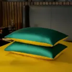4a8e5c6b dd37 43ef a3e6 ceb7fe95b5f2