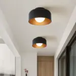 51RdeKKRTXL._AC 51RdeKKRTXL. AC