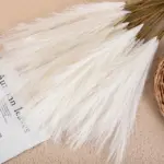 5Pcs Pampas Kunstmatige Bloemen Boeket Kunstbloemen Boeket Pluizige Diy Nep Bloem Riet Voor Wedding Thuis Decoratie.jpg 640x640 1212849d 4349 4939 9a02 73f52ecea0e0